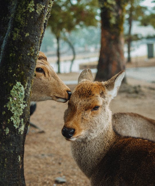 Lago congelado con grietas en el hielo
